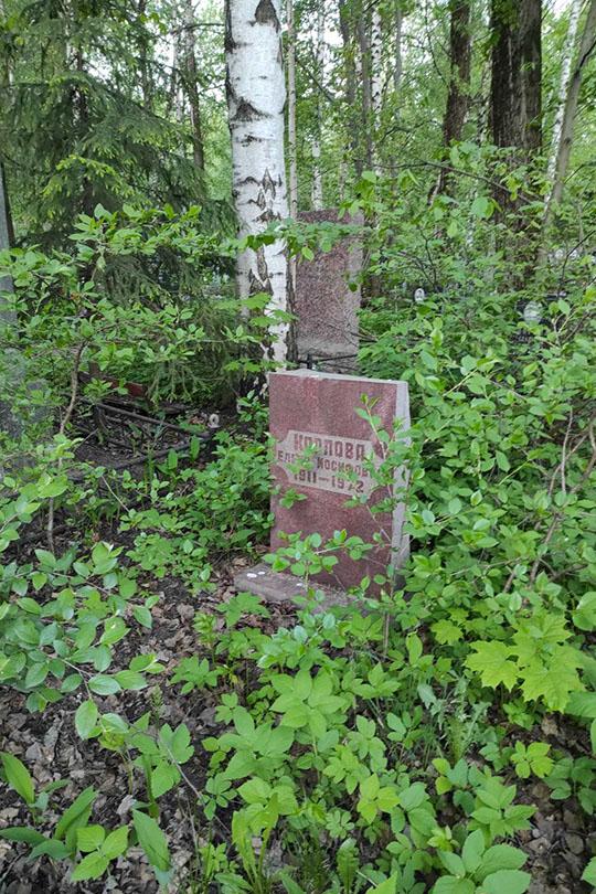 Карпова Елена Иосифовна