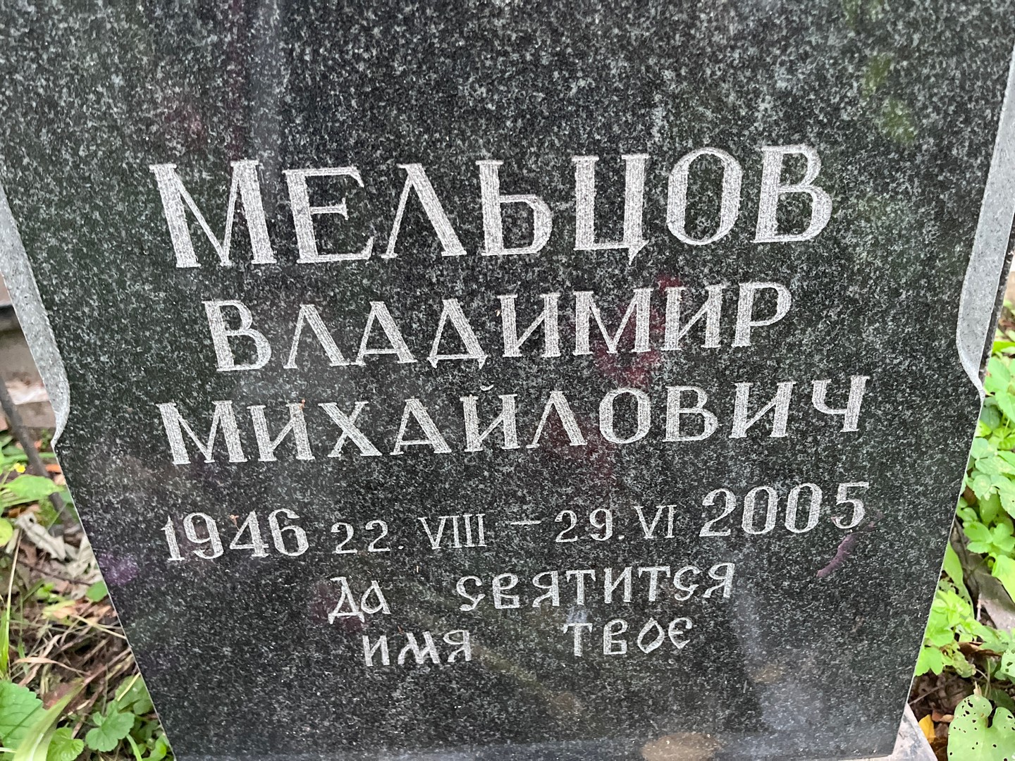 Мельцов