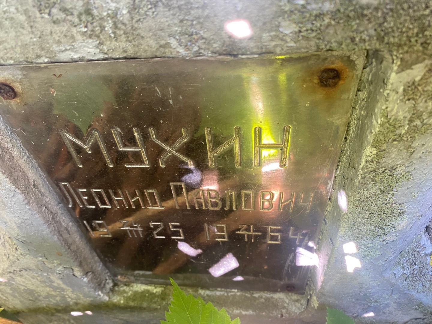 Мухин