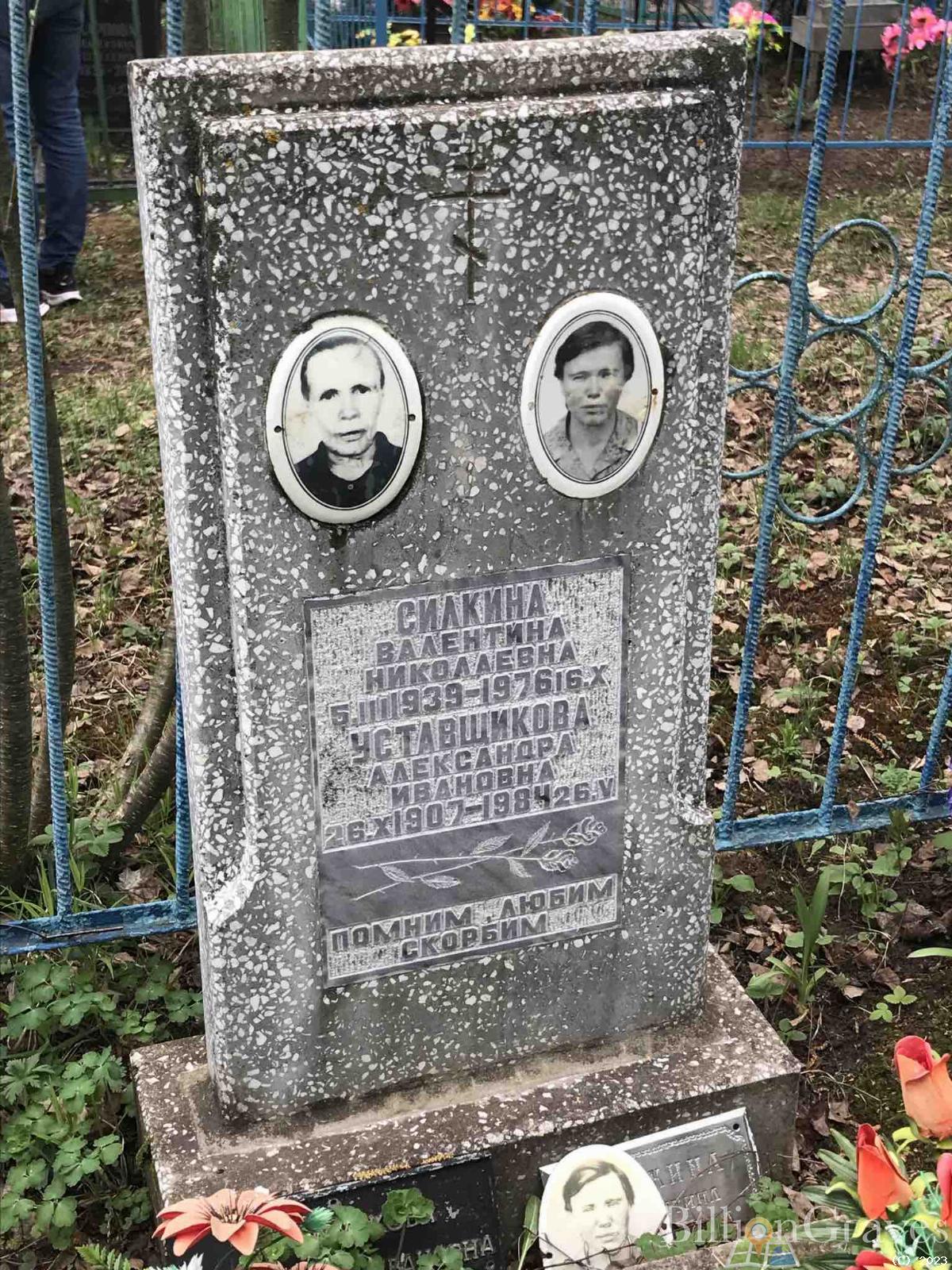 Силкина Валентина Николаевна