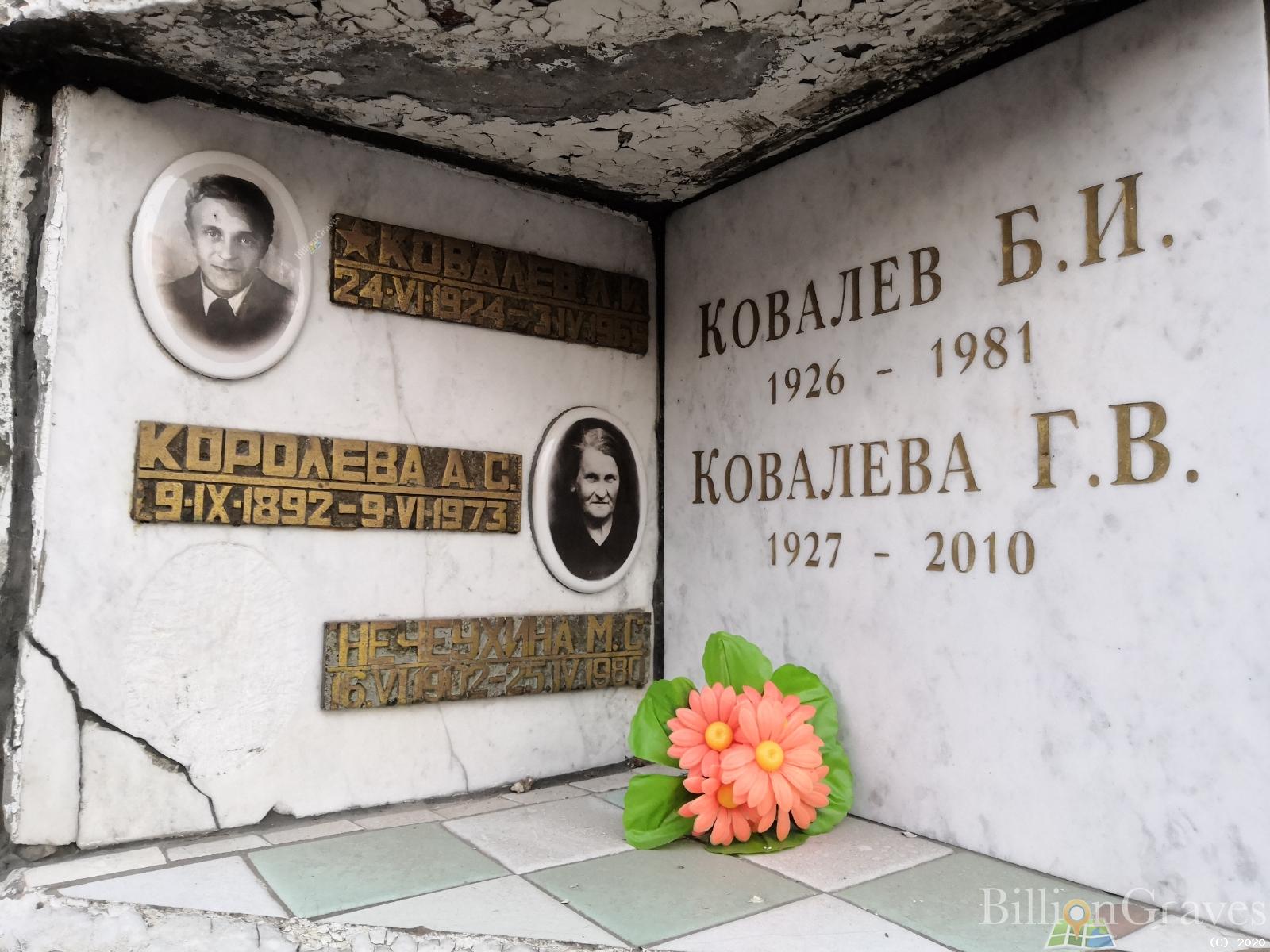 Королева А. С.