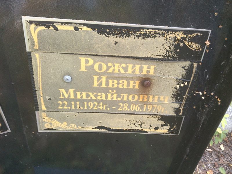 Рожин