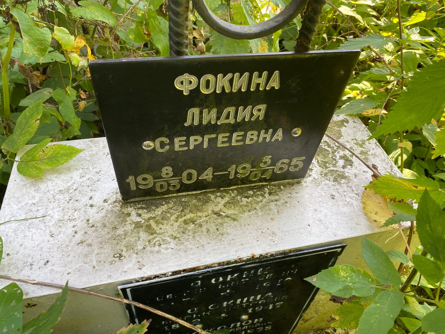 Фокина