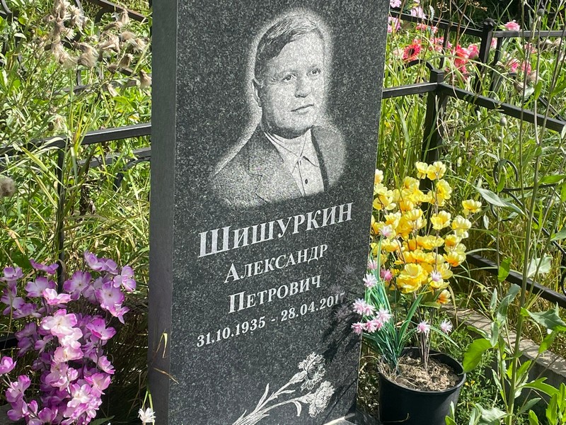 Шишуркин