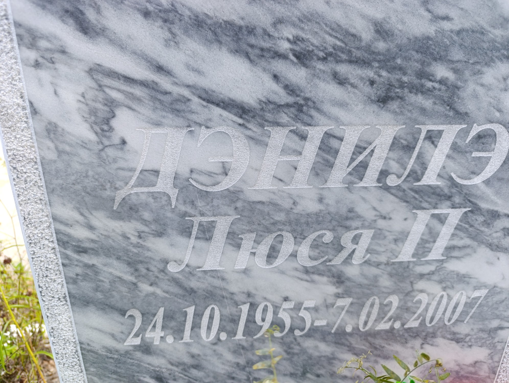 Данилэ Люся П