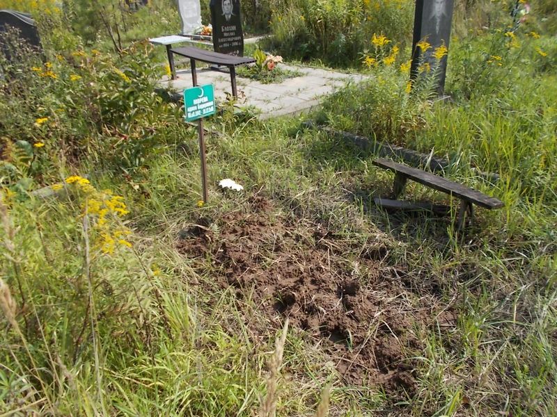 Морева Адиля Бядиуловна