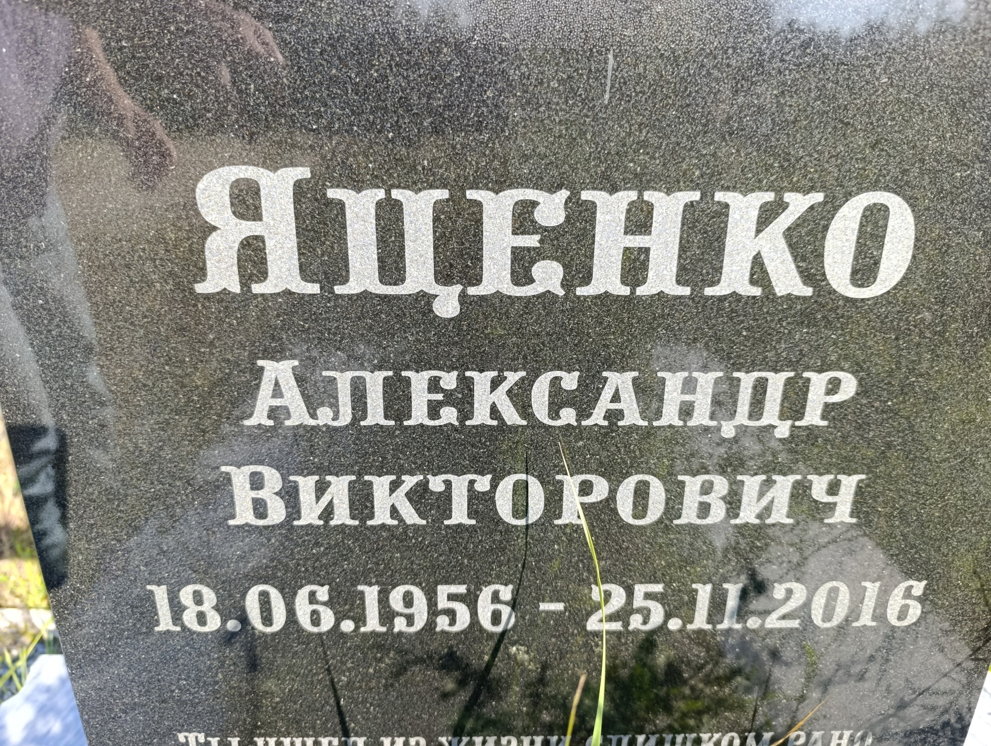 Яценко Александр Викторович