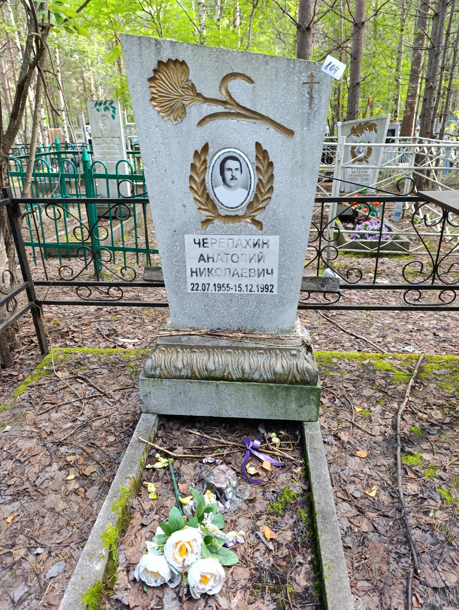 Черепахин Анатолий Николаевич