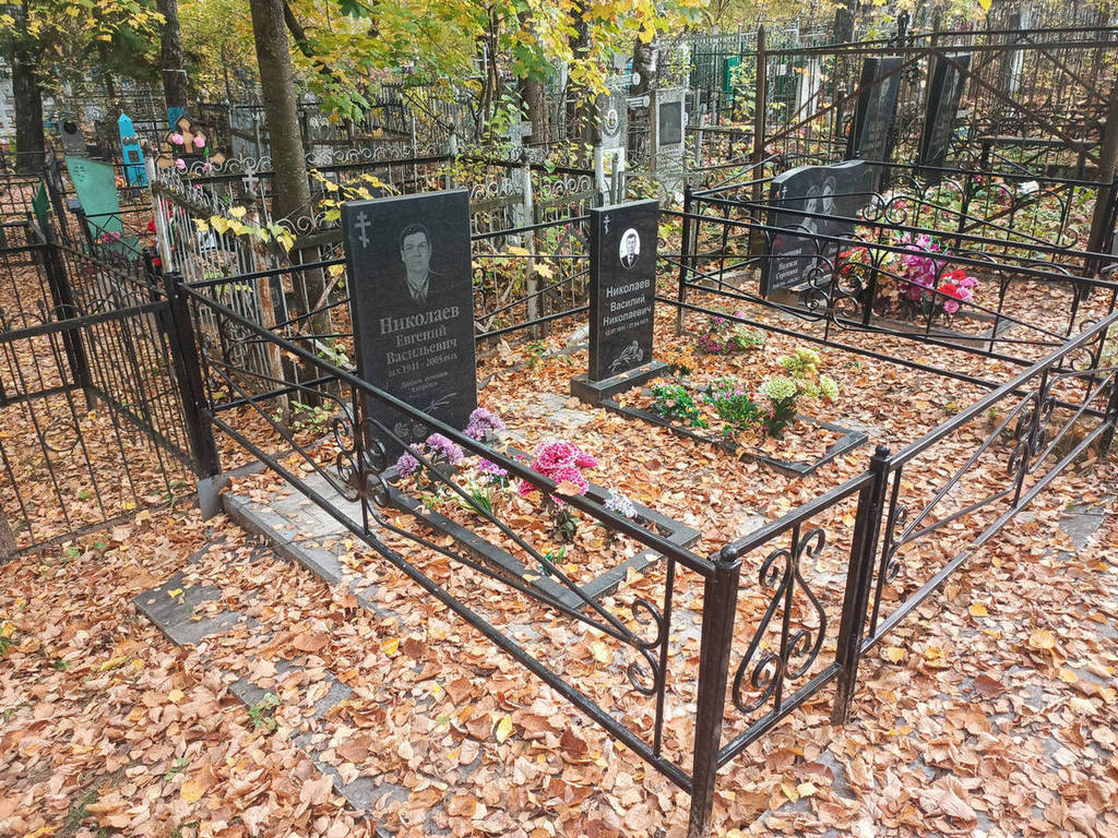 Николаев Василий Николаевич