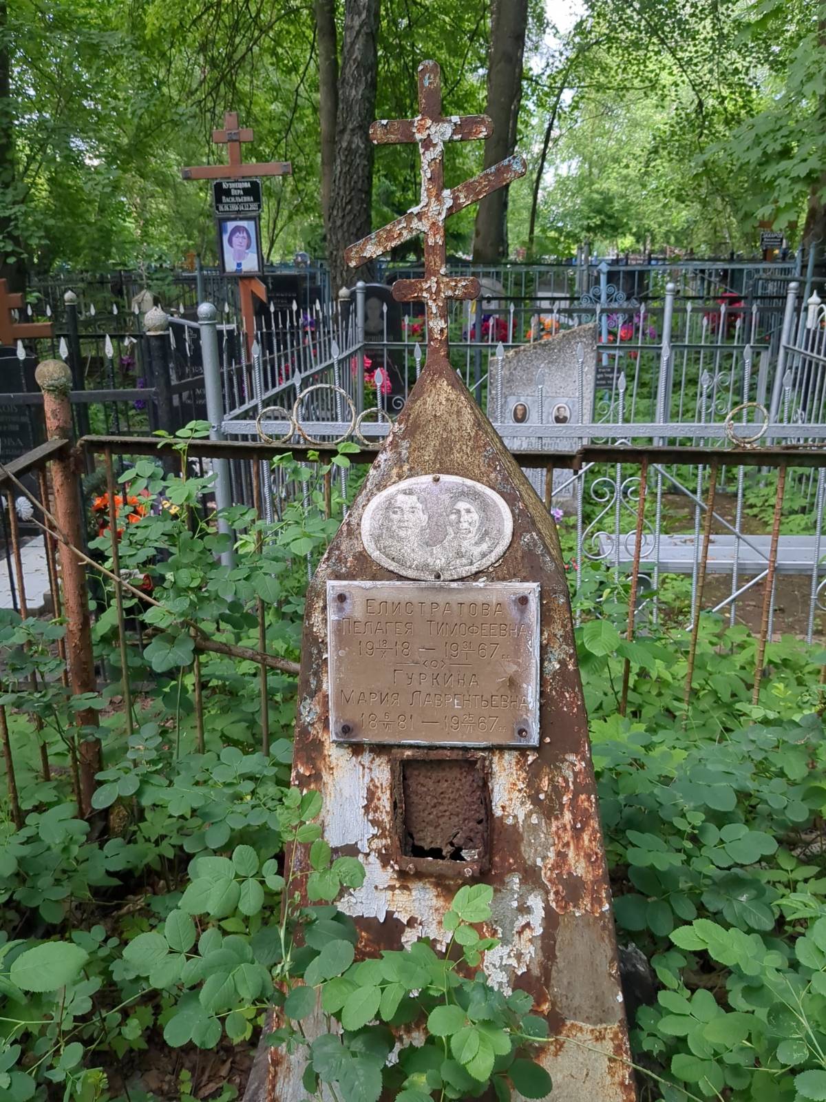 Гуркина Мария Лаврентьевна