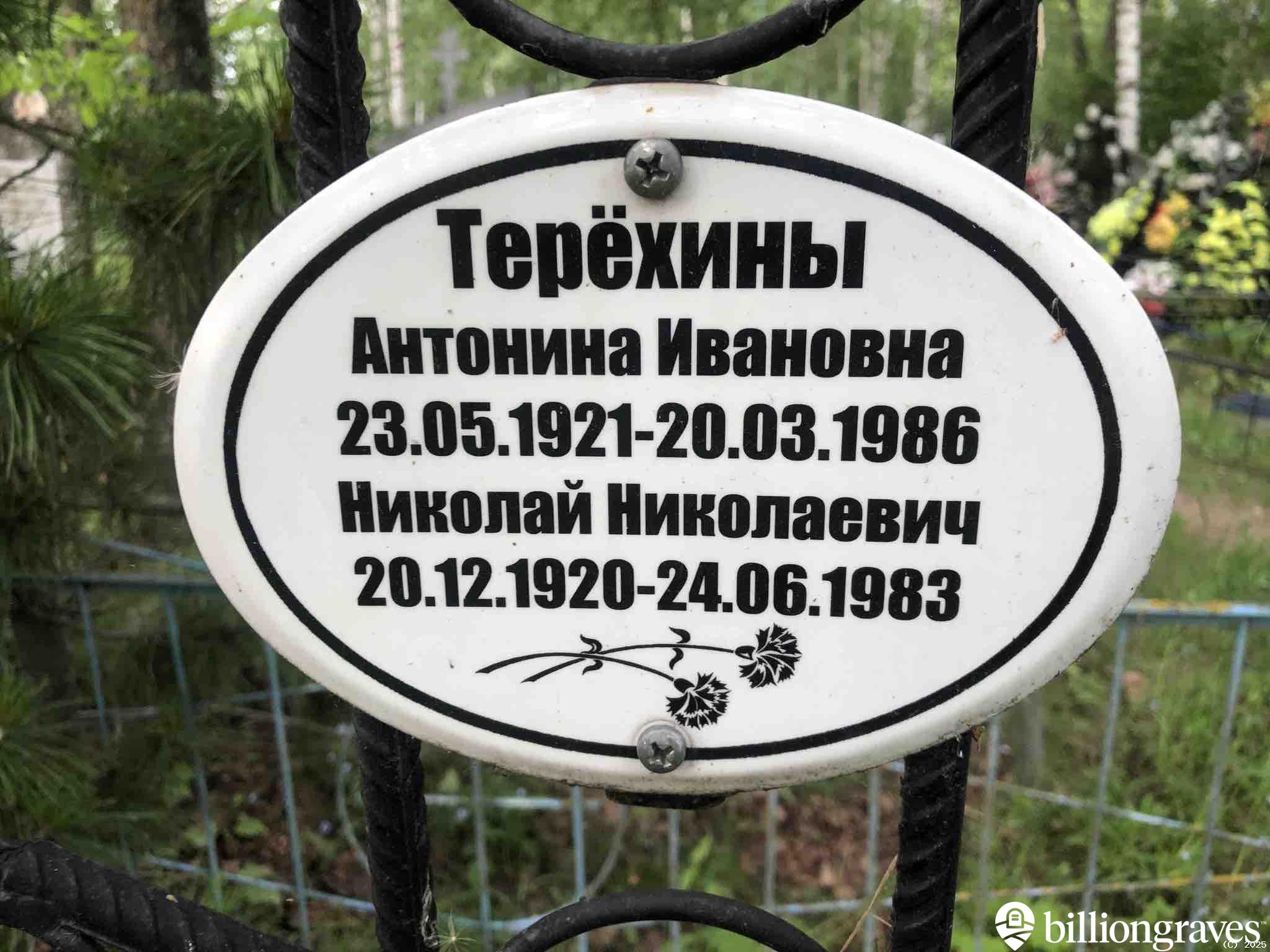 Терëхин Николай Николаевич