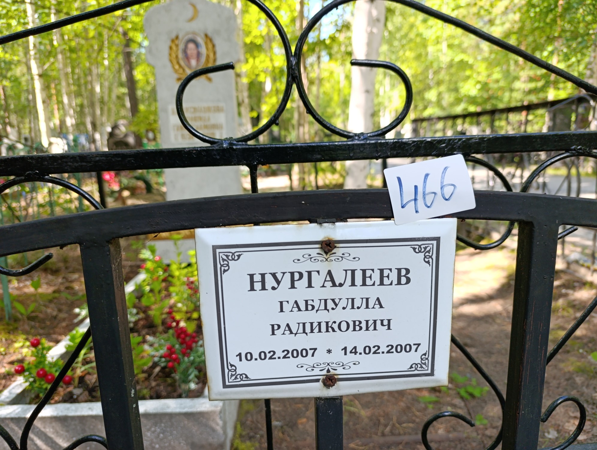 Нургалеев Габдулла Радикович