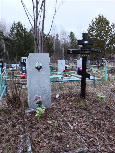 Мамаев Василий Николаевич