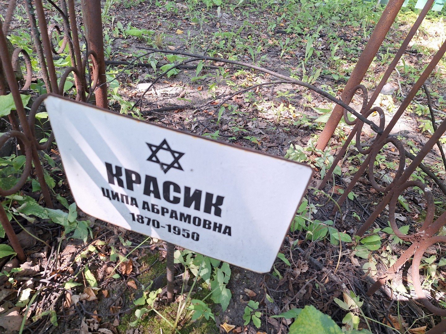 Ципа Красик Абрамовна