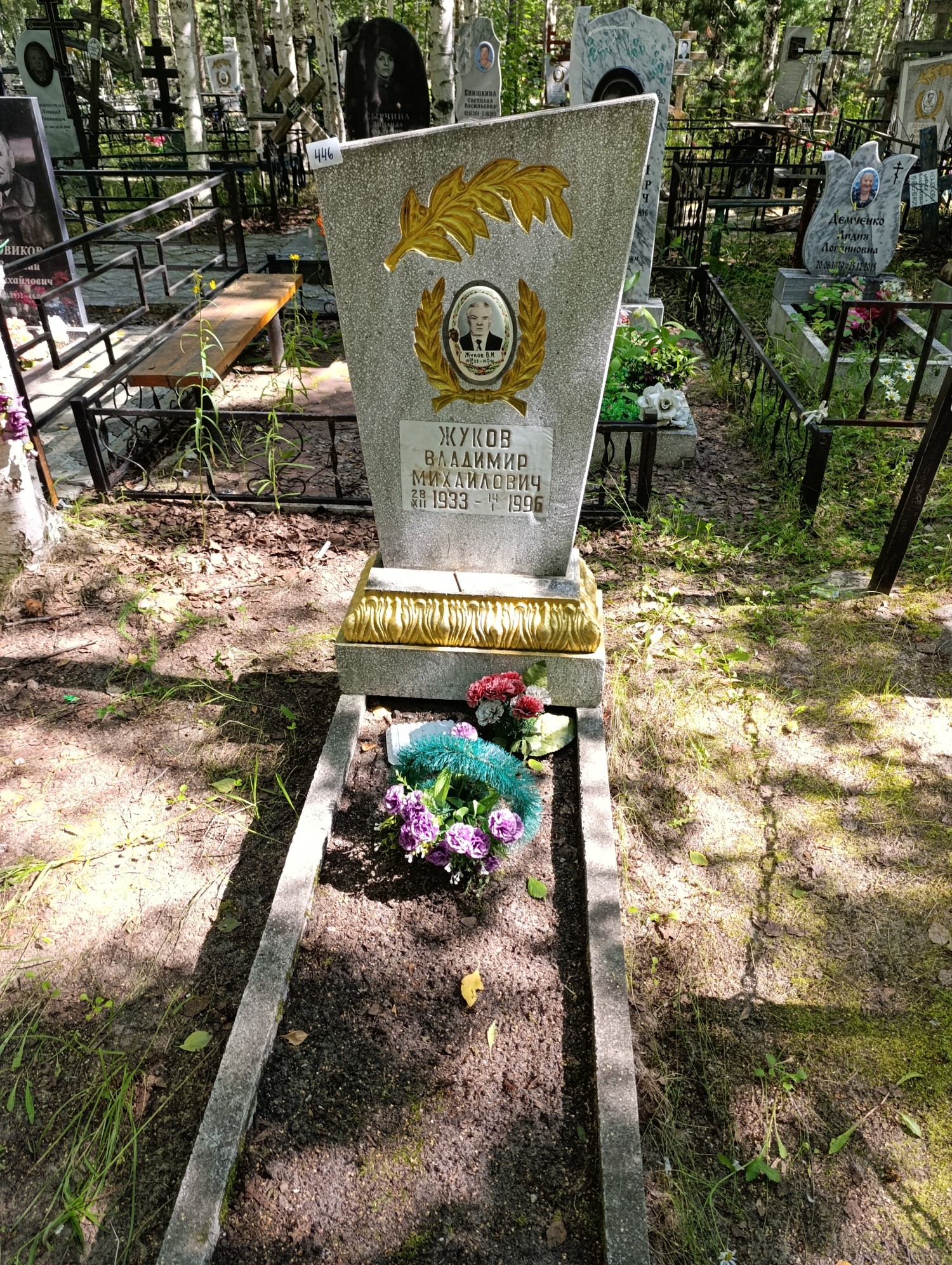 Жуков Владимир Михайлович