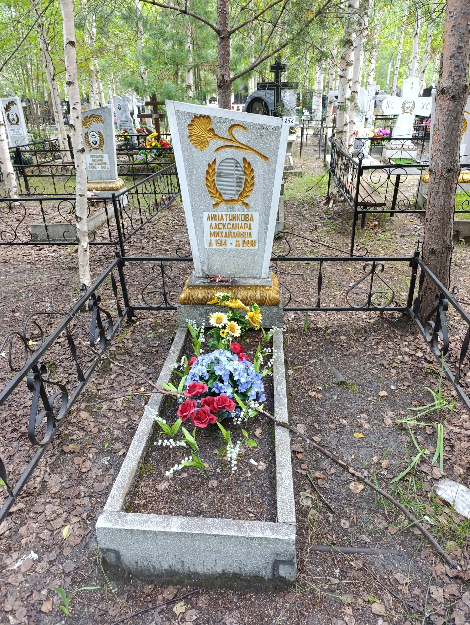 Липатникова Александра Михайловна