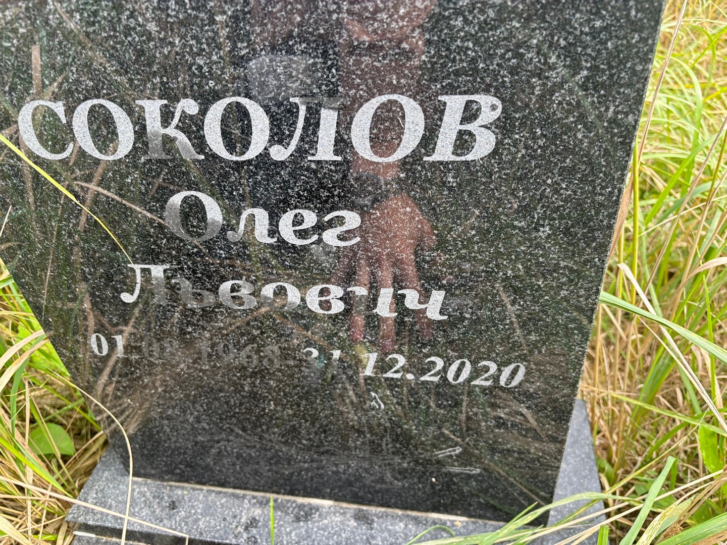 Соколов