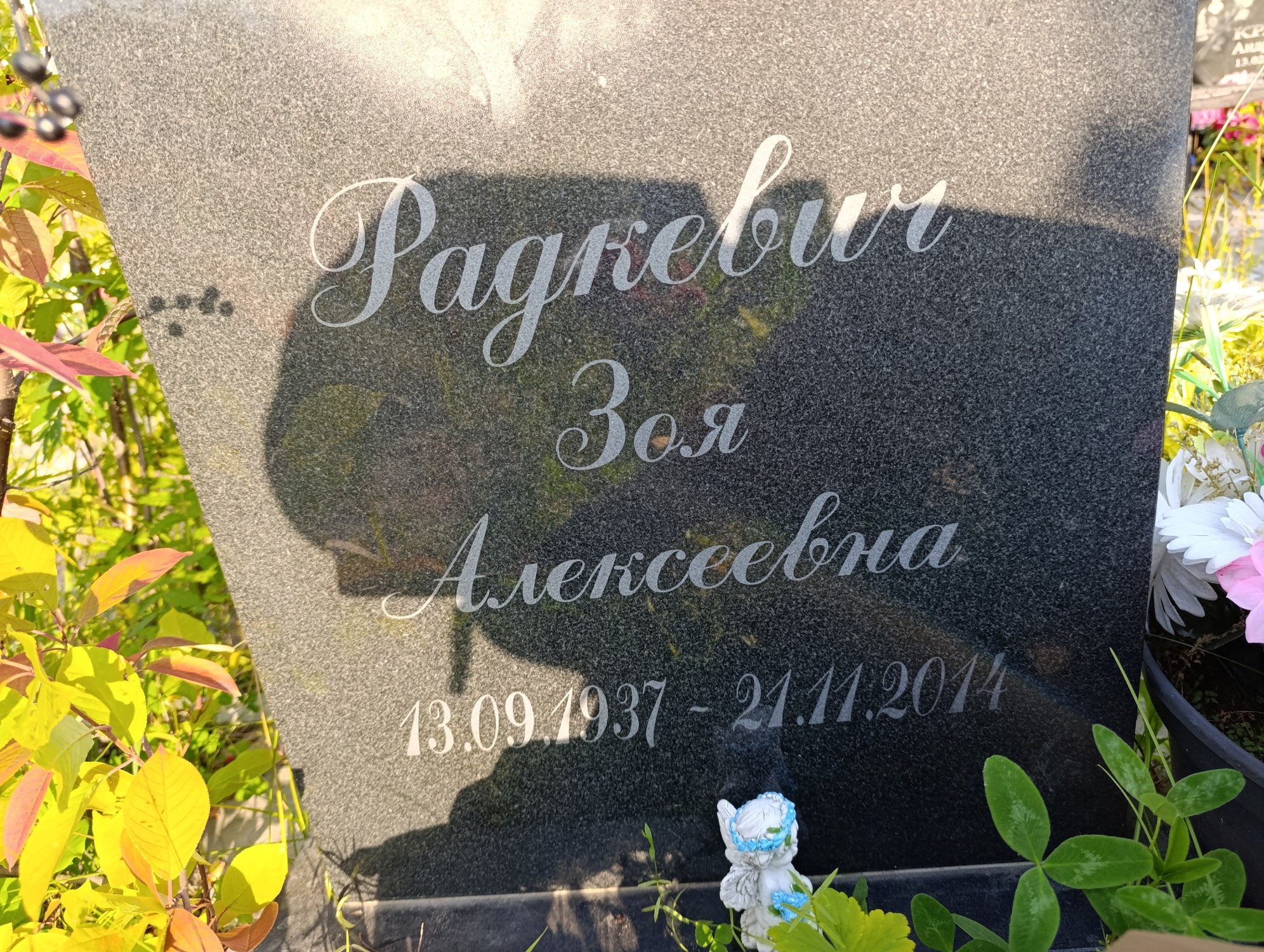 Радкевич Зоя Алексеевна