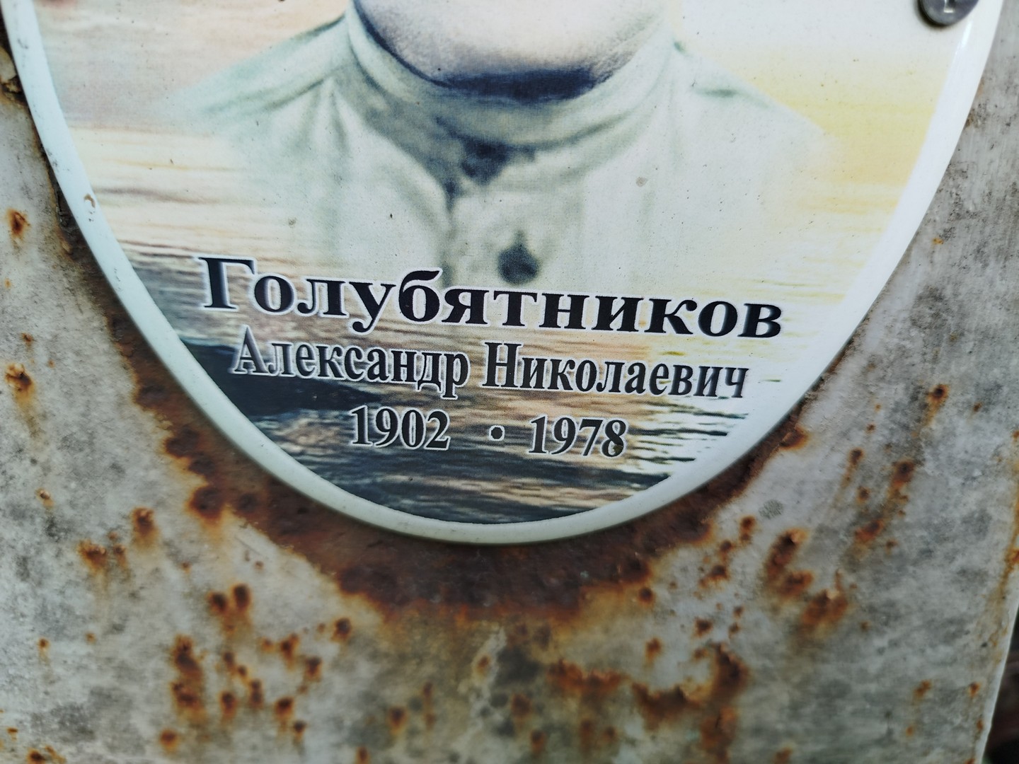 Голубятников