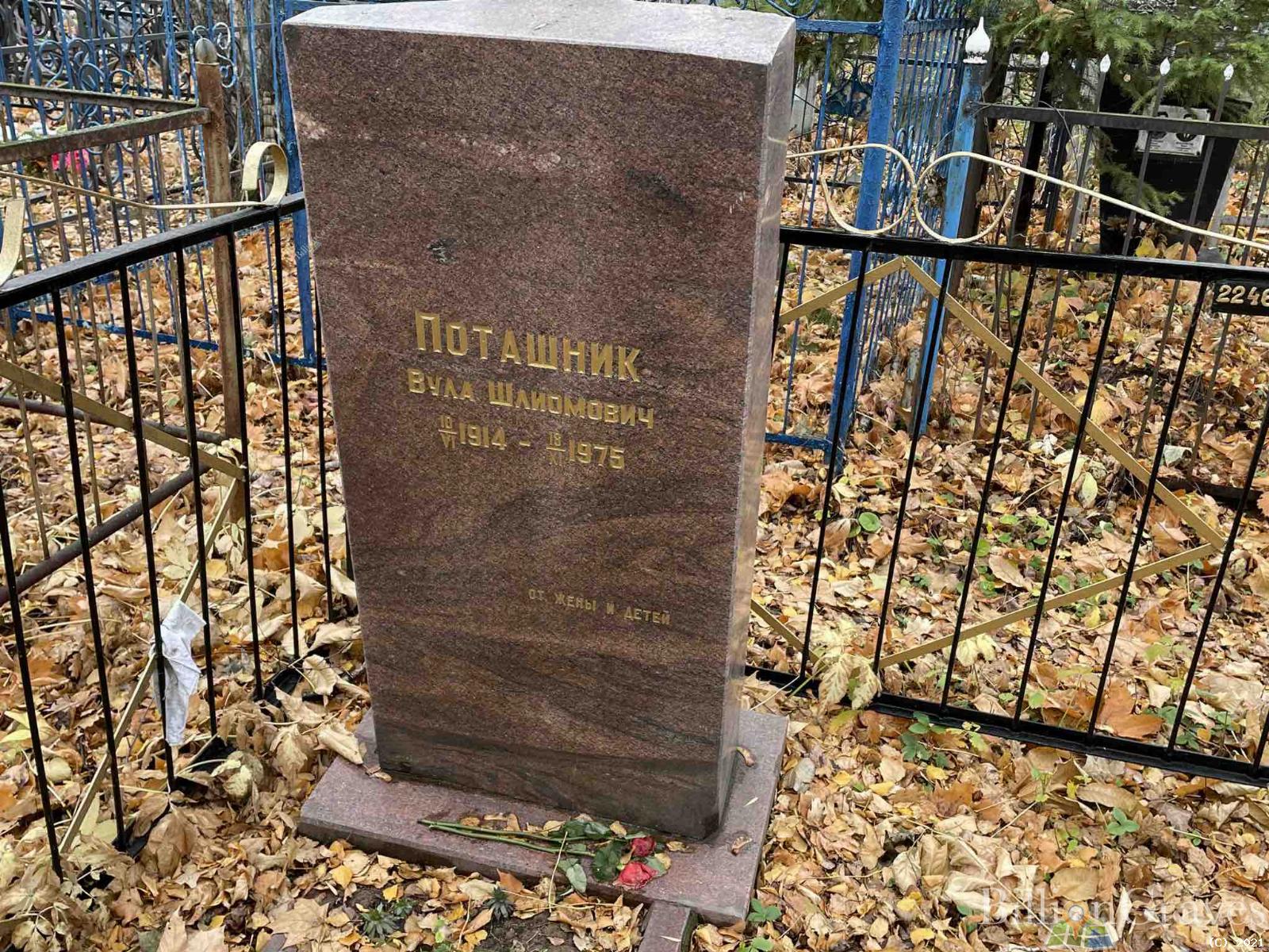 Поташник Вула Шлиомович