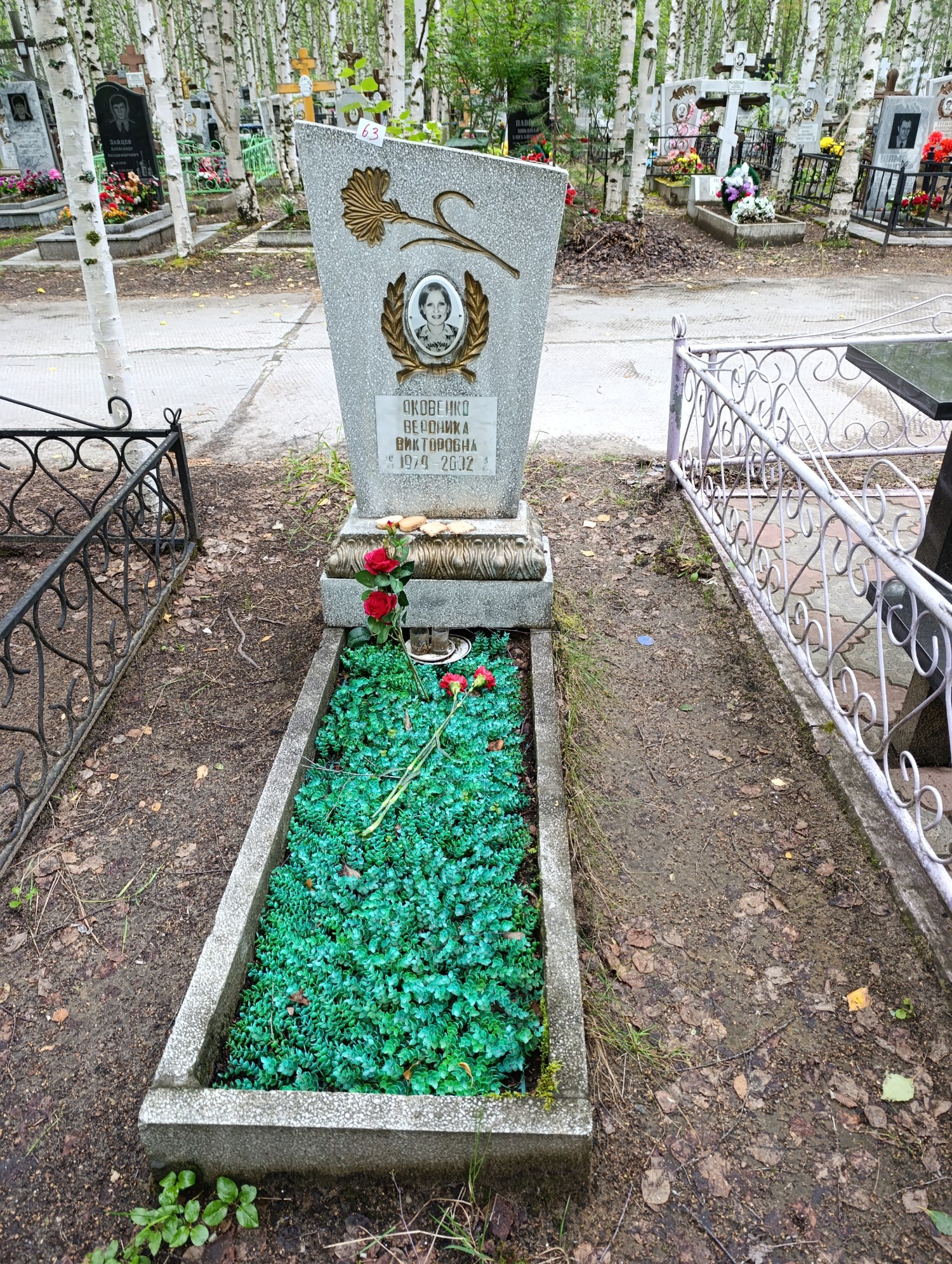 Яковенко Вероника Викторовна
