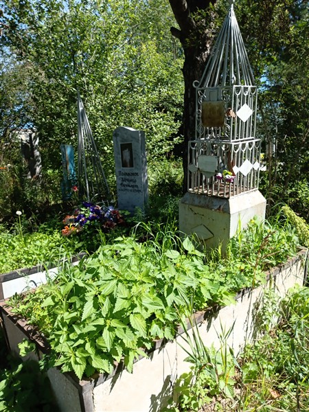 Полимонов Александр Евгеньевич