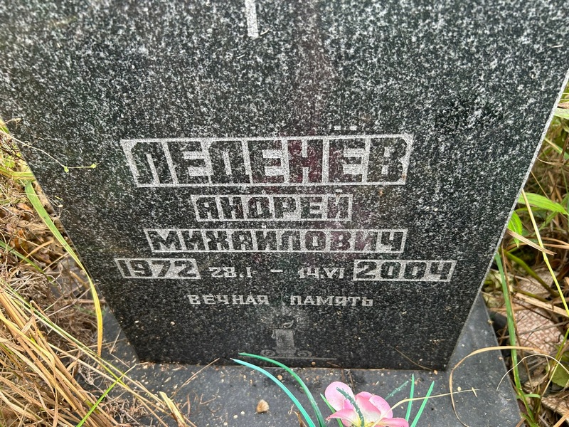 Леденев