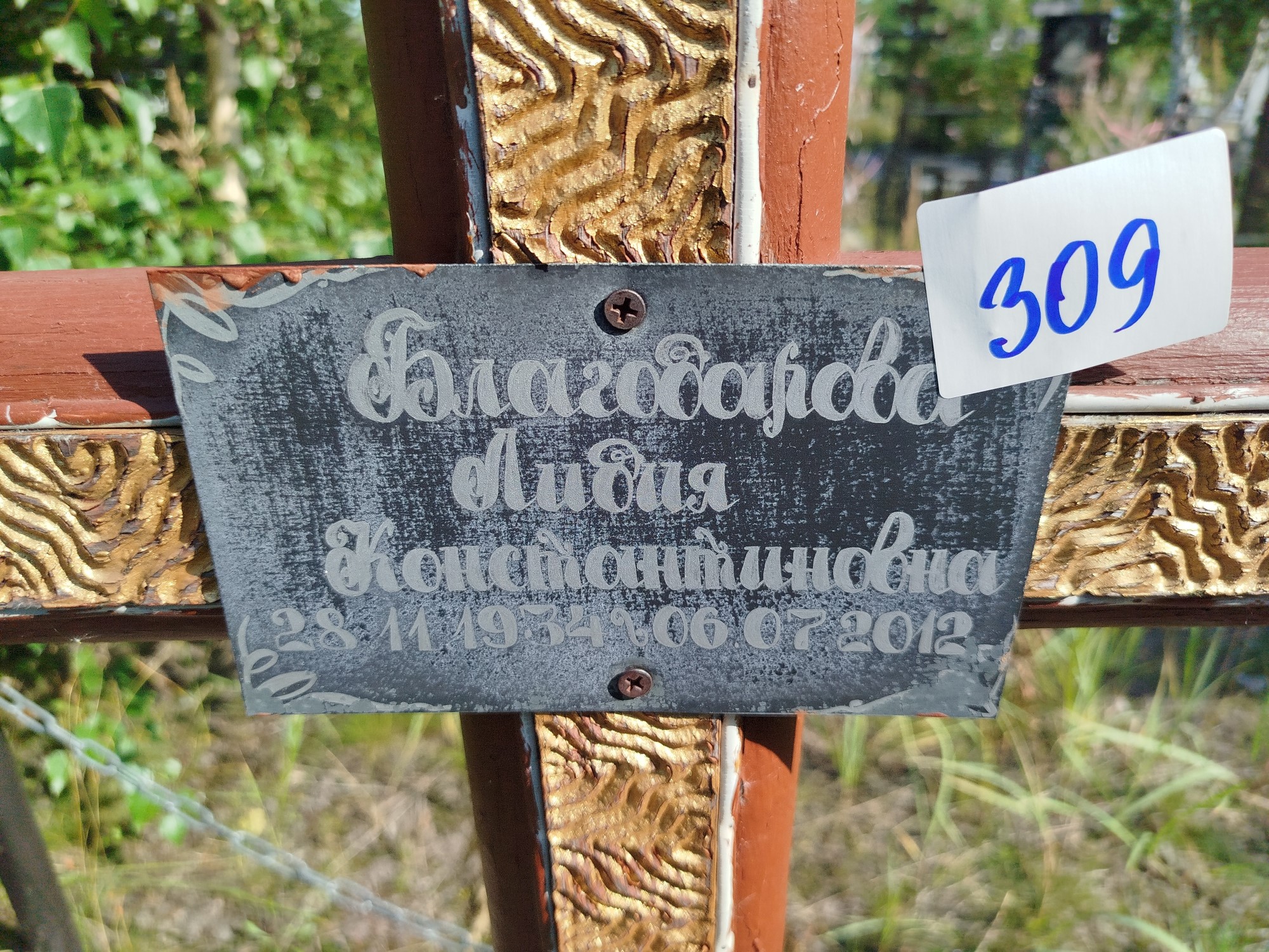 Благодарова Лидия Константиновна