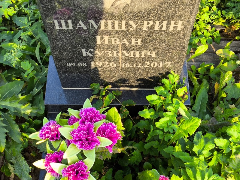 Шамшурин