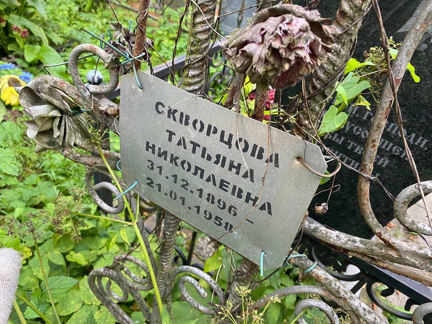 Скворцова