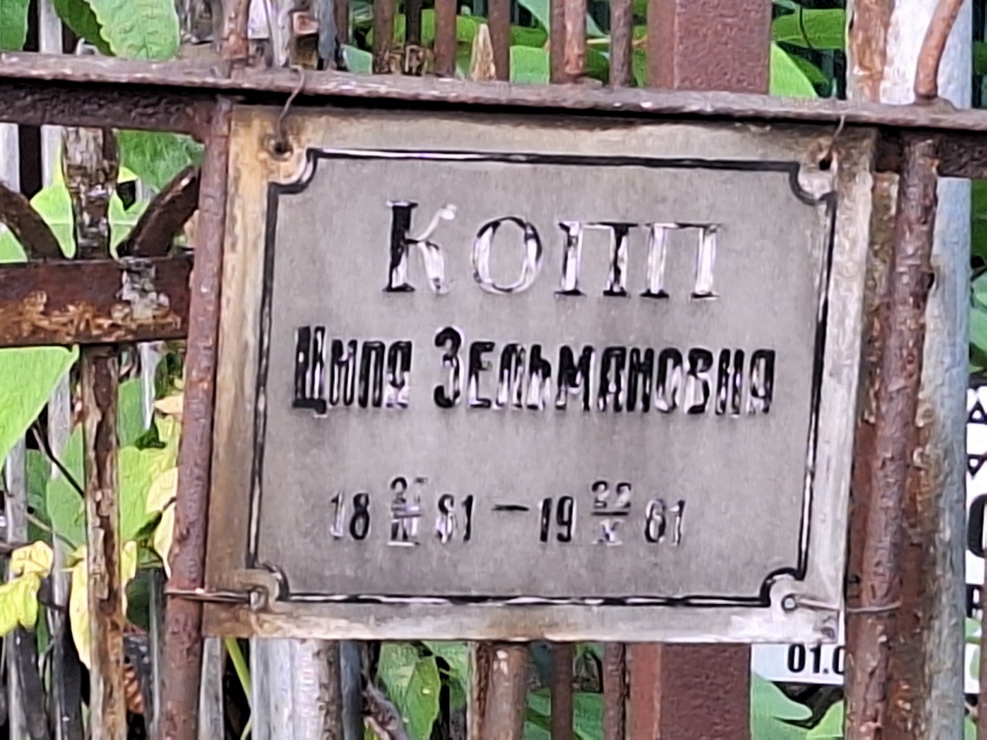 Ципа Копп Зельмановна