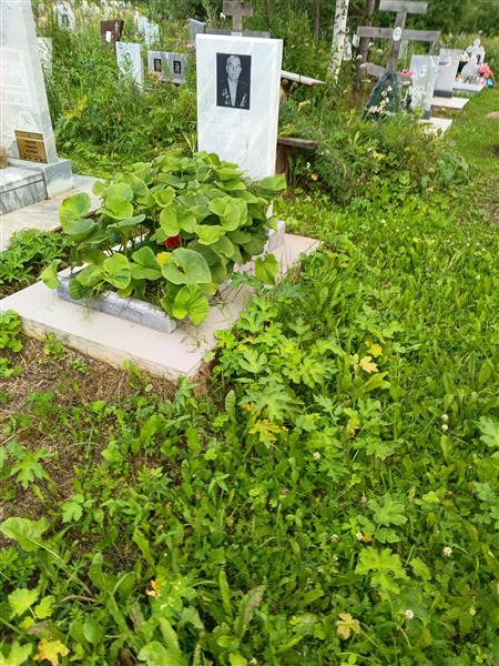 Чернецкий Апполинарий Петрович