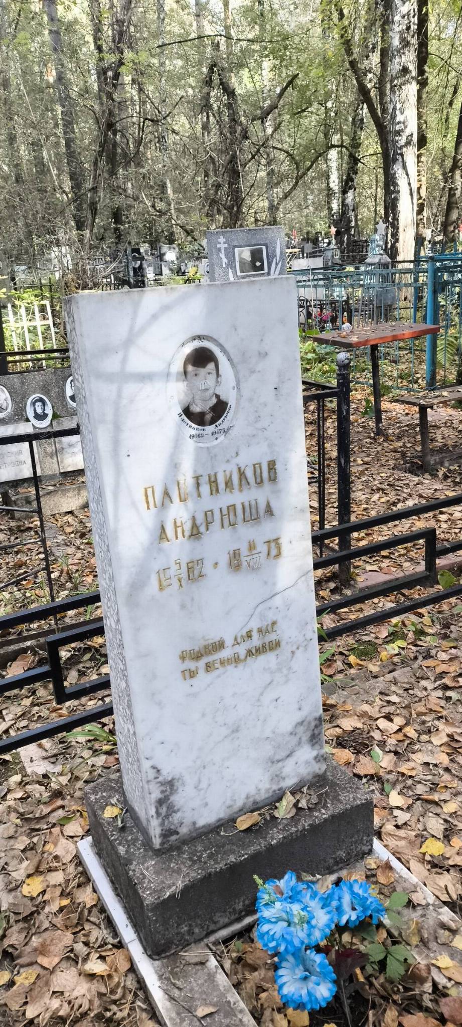 Плотников Андрюша
