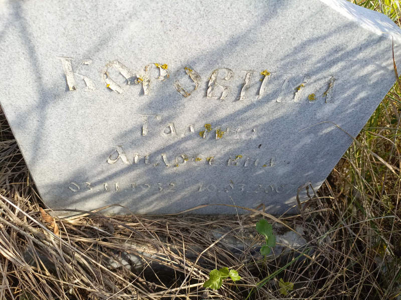 Коровина