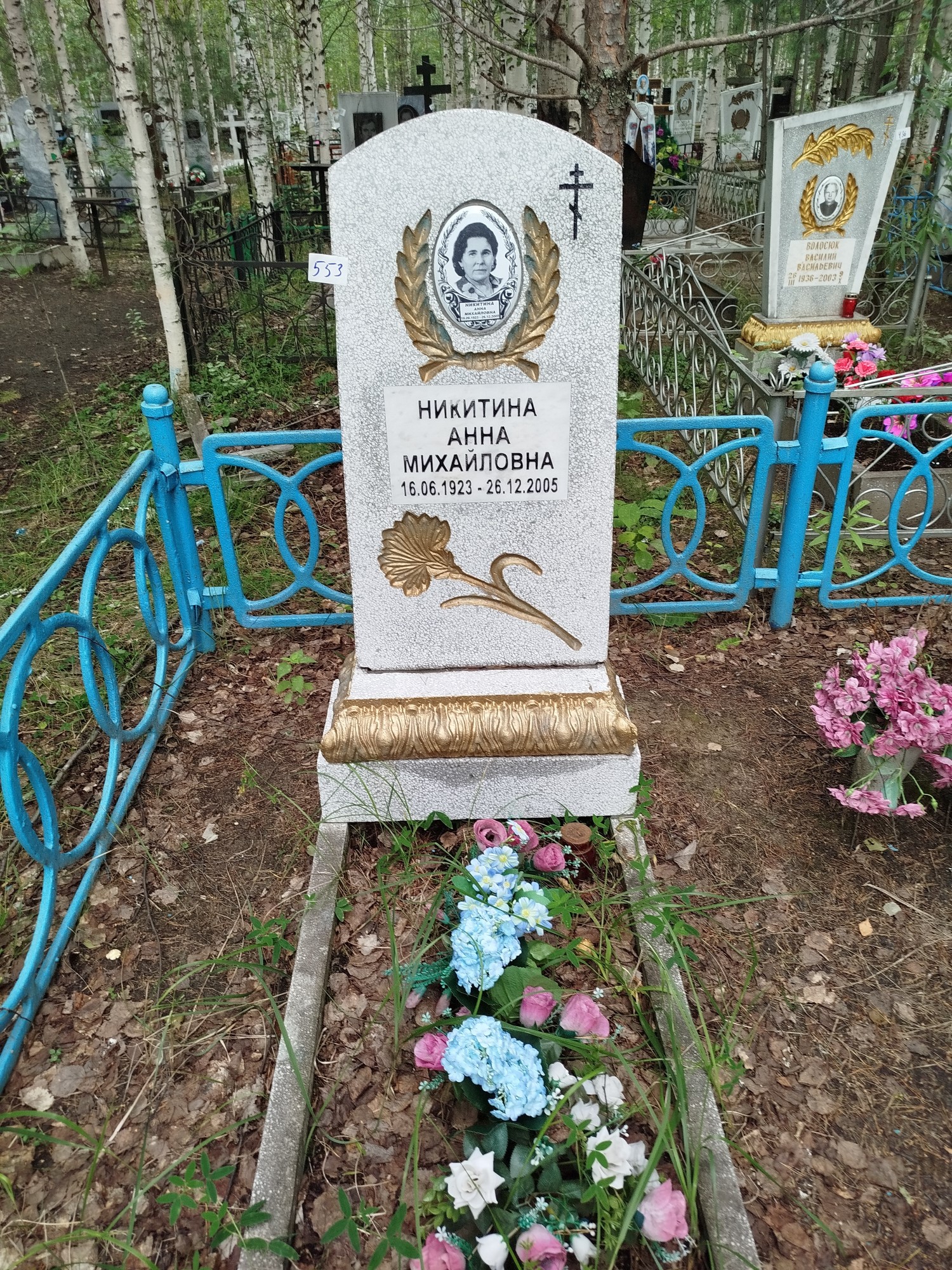 Никитина Анна Михайловна