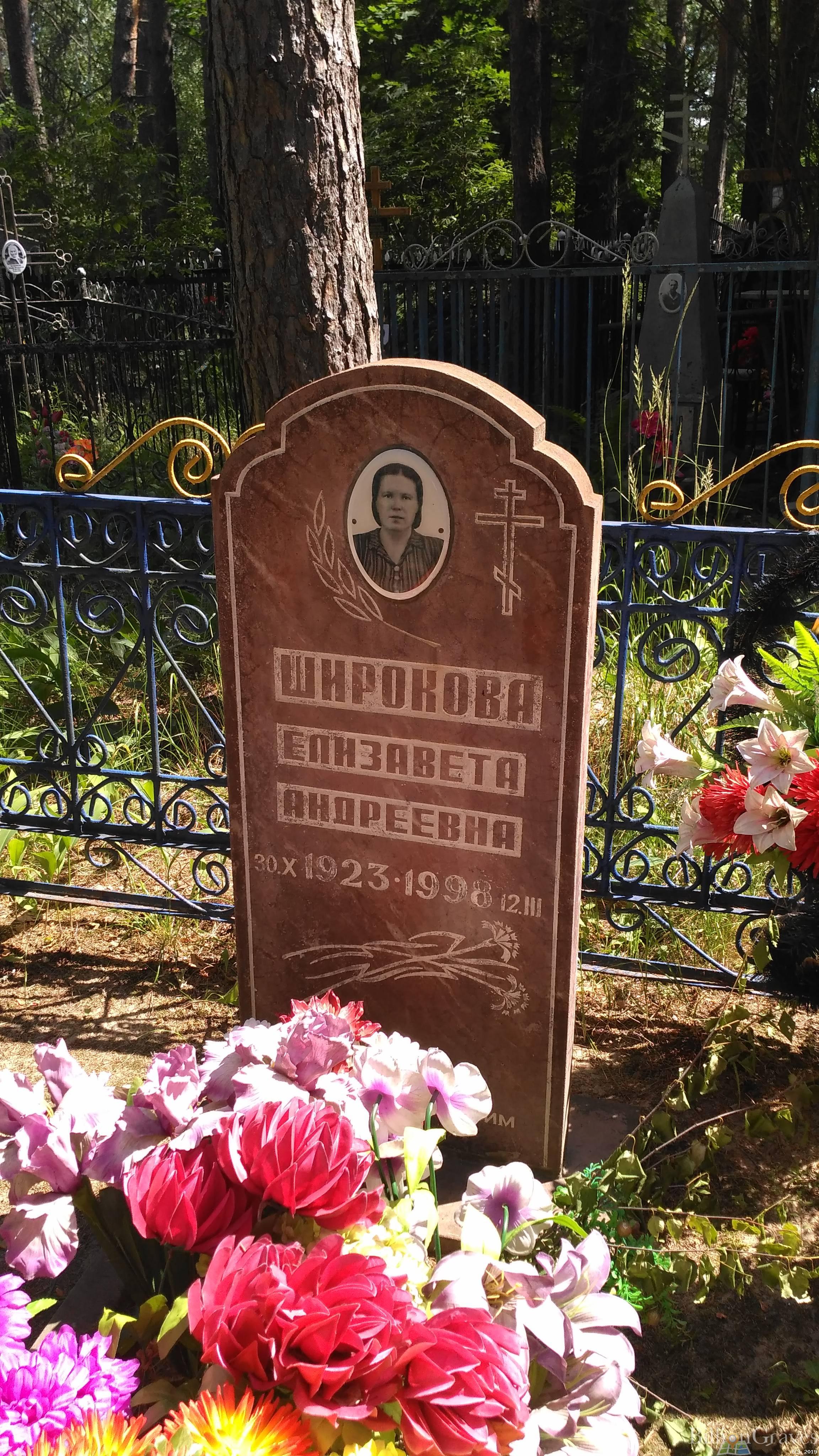 Широкова Елизавета Андреевна