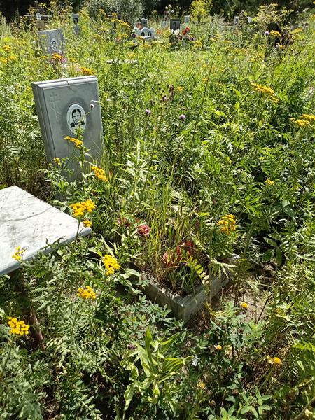 Бурилов Андрей Павлович