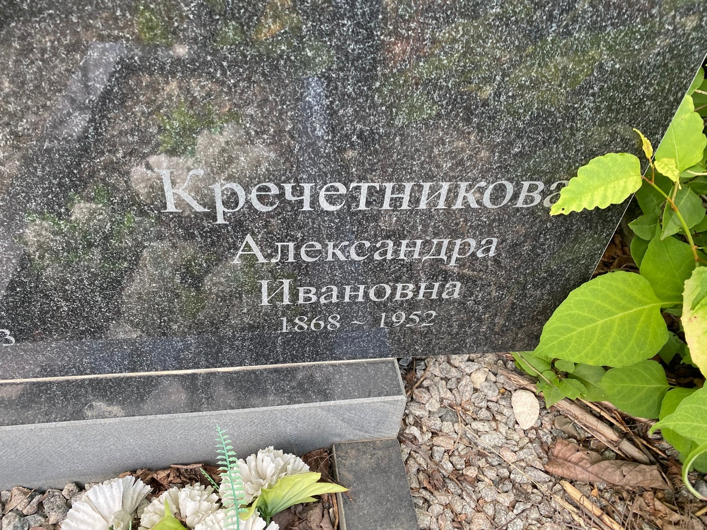 Кречетникова Александра Ивановна