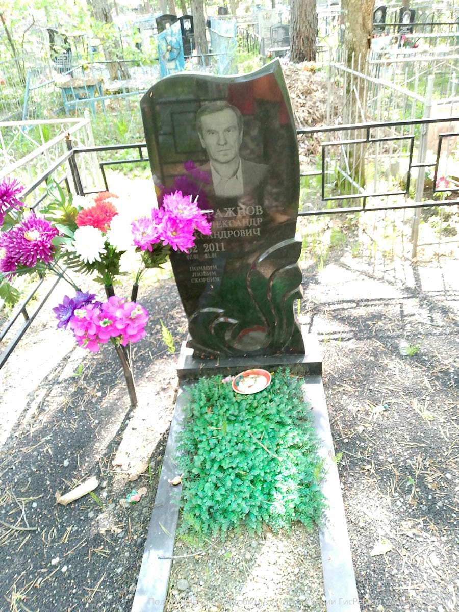 Бражнов Александр Александрович