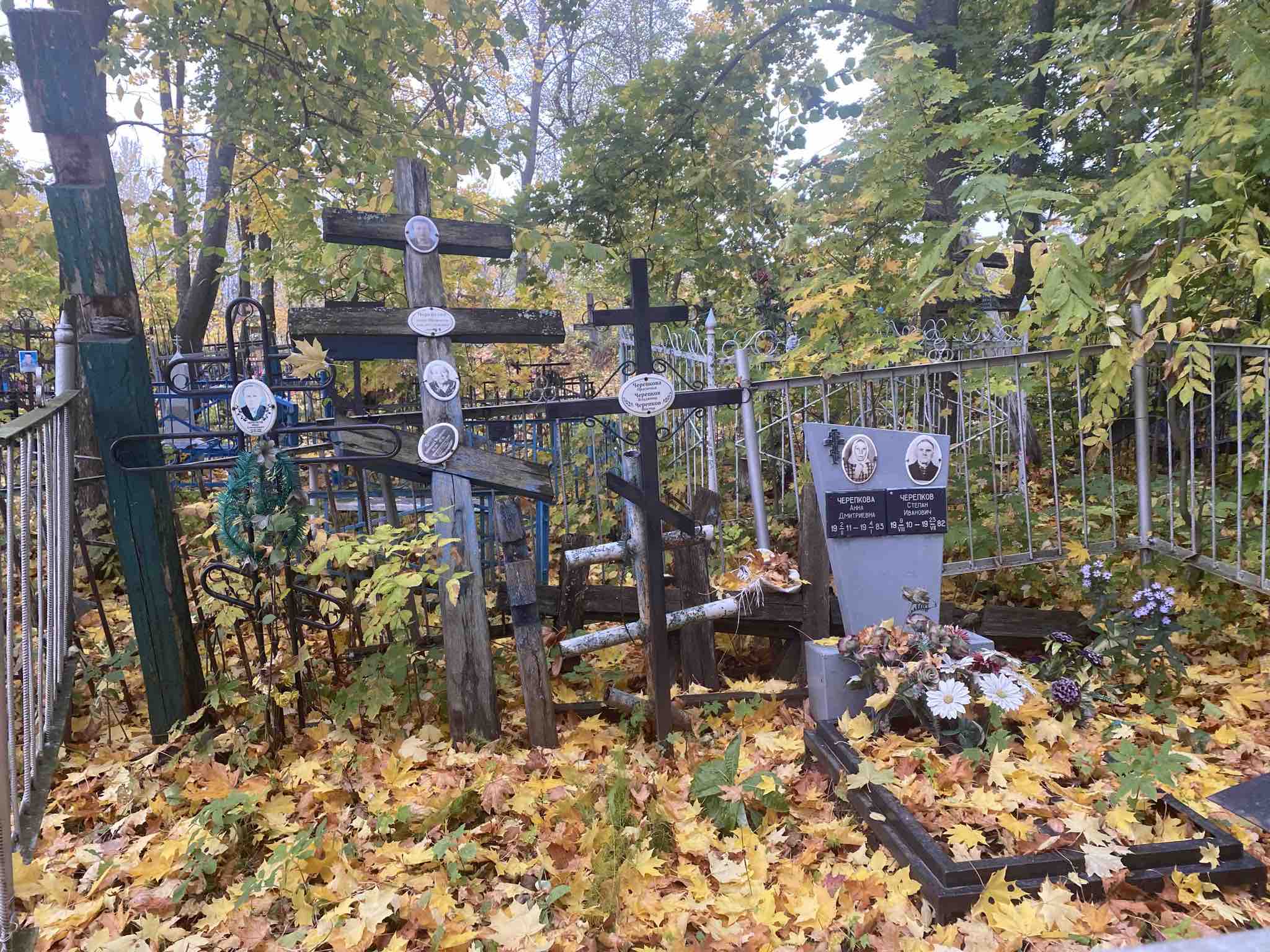 Фролова Александра Федоровна