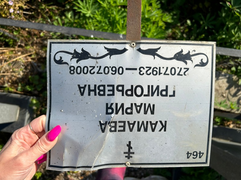 Камаева