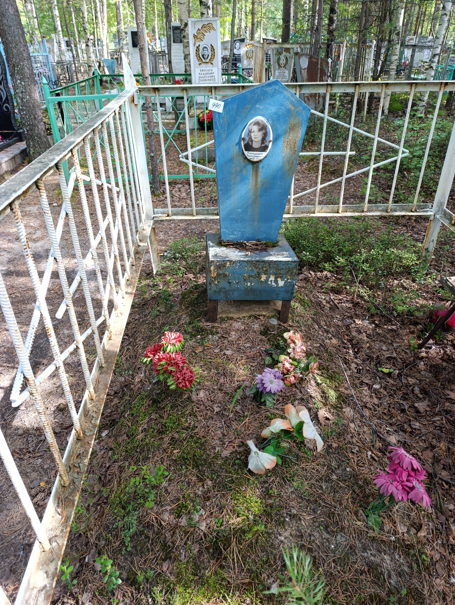 Паньшина Людмила Владимировна