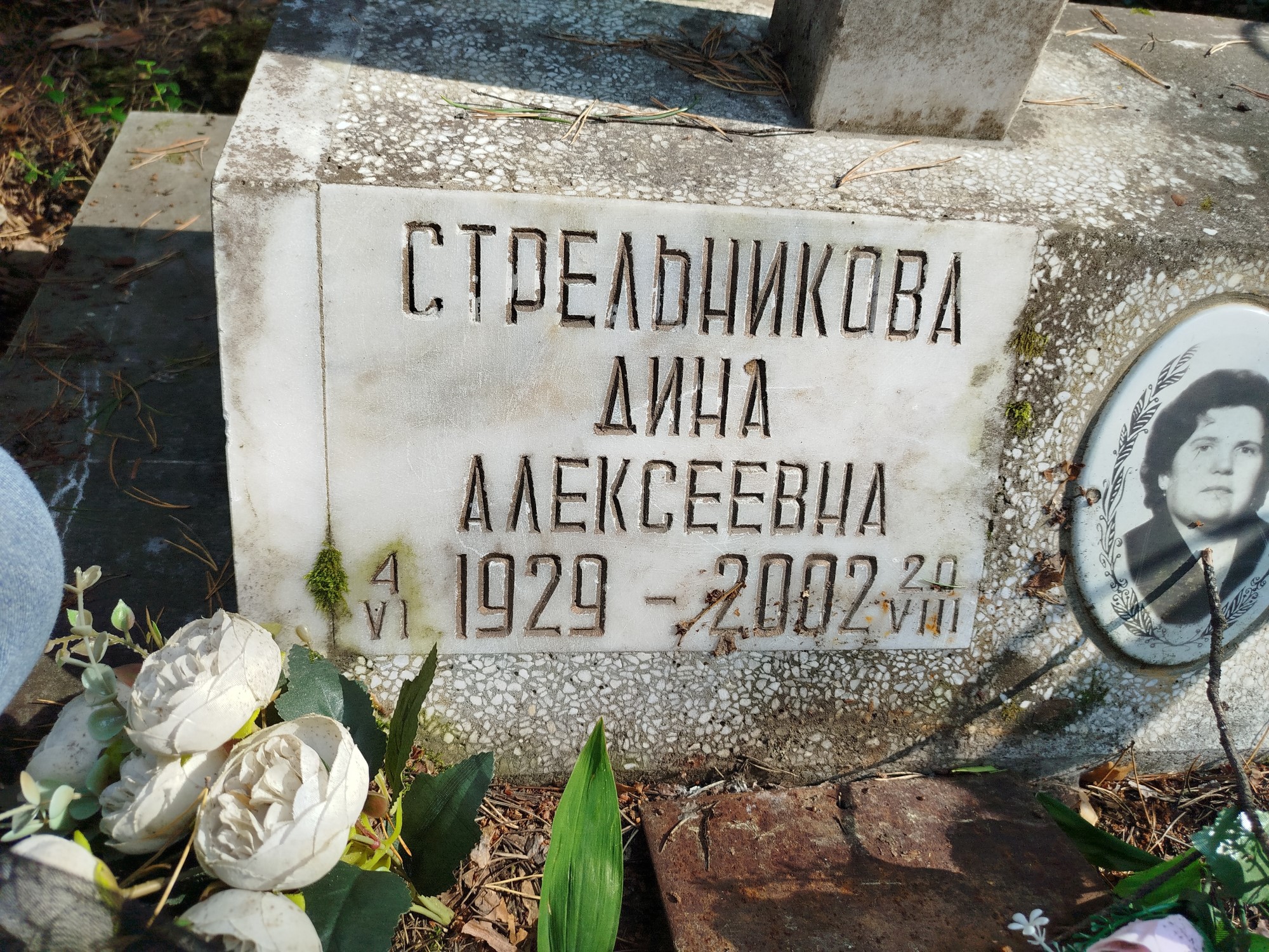Стрельникова Дина Алексеевна