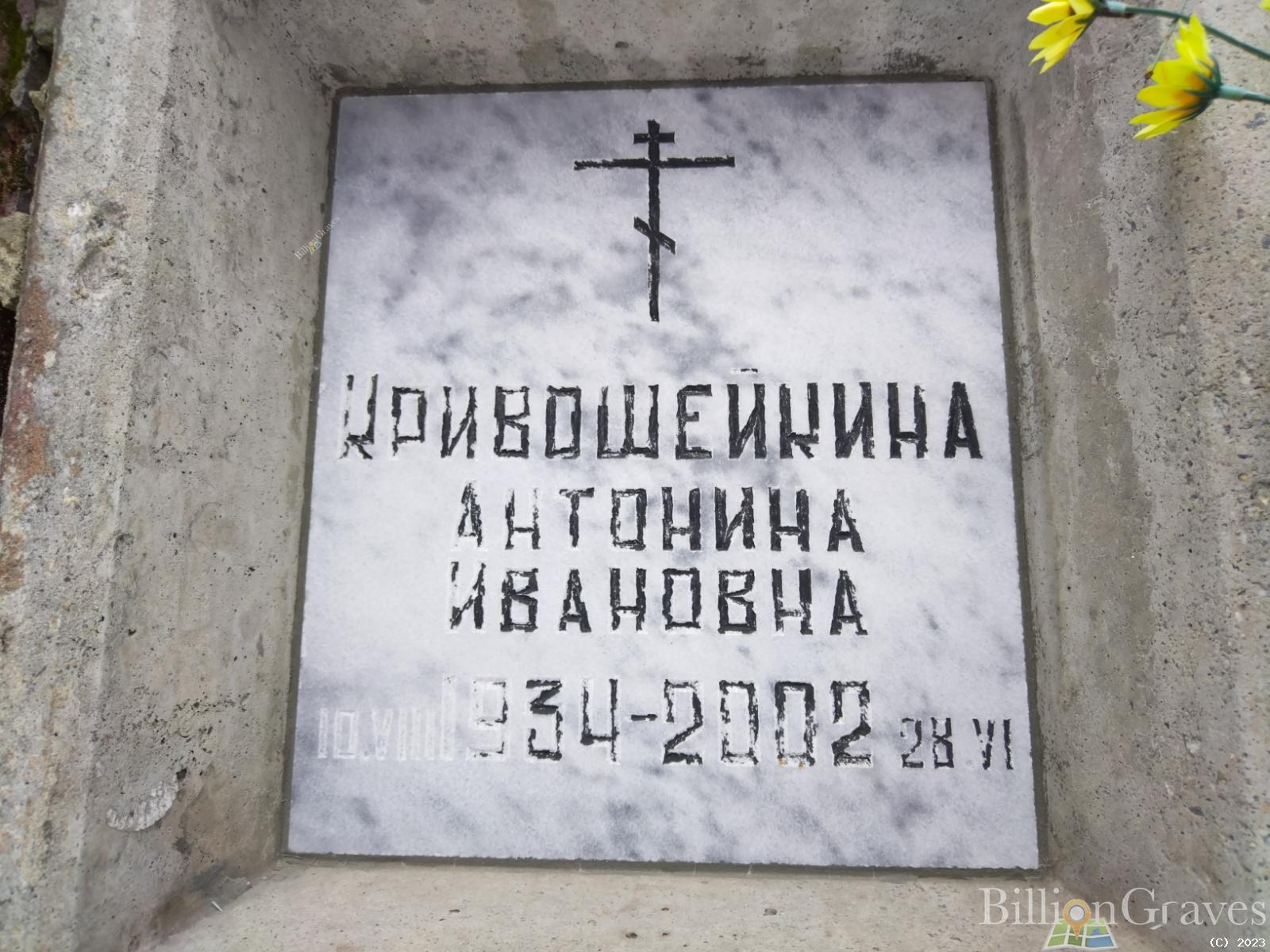 Кривошейкина Антонина Ивановна