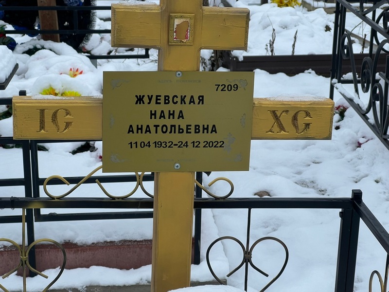 Нана Жуевская Анатольевна