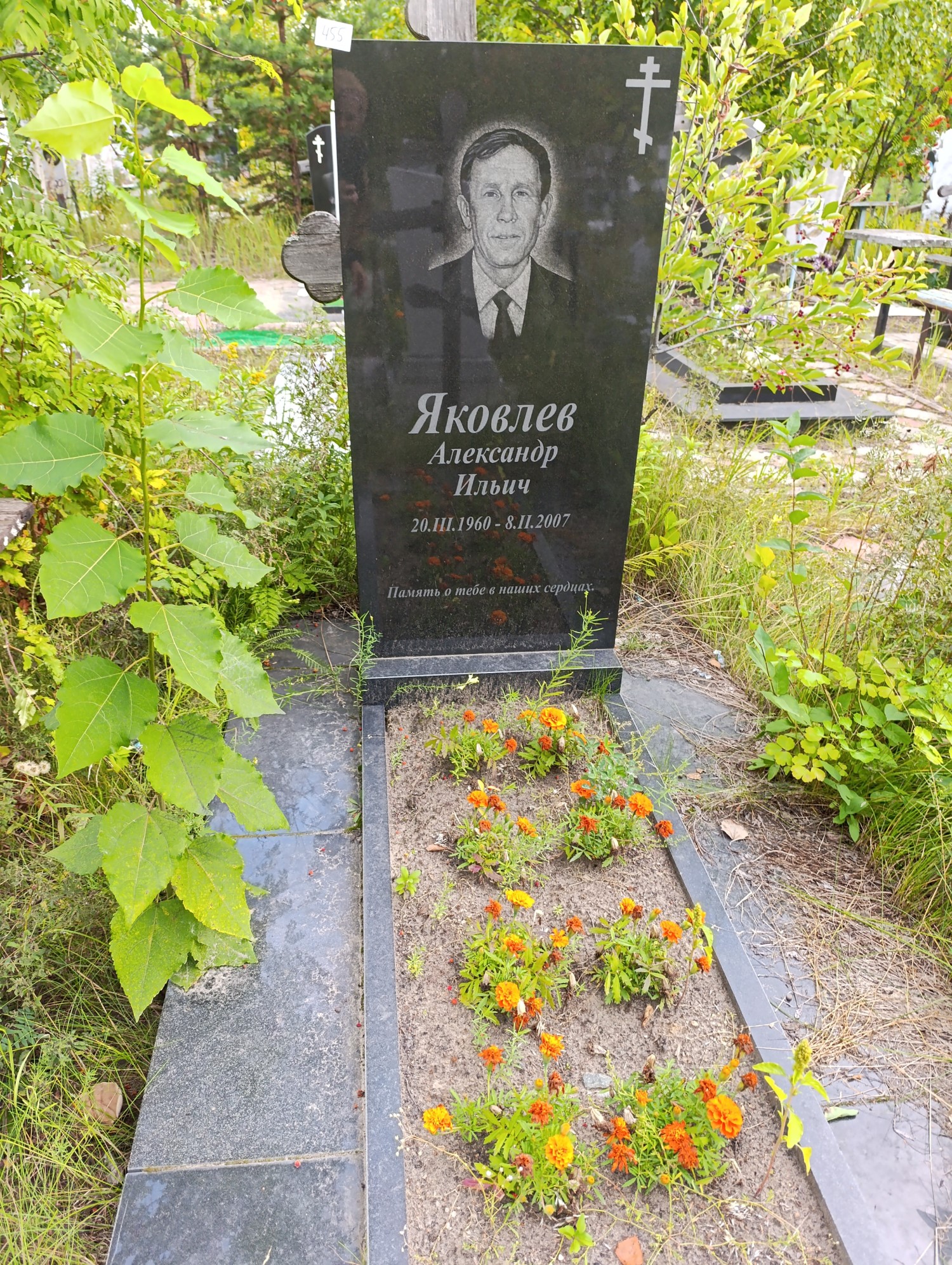 Яковлев Александр Ильич