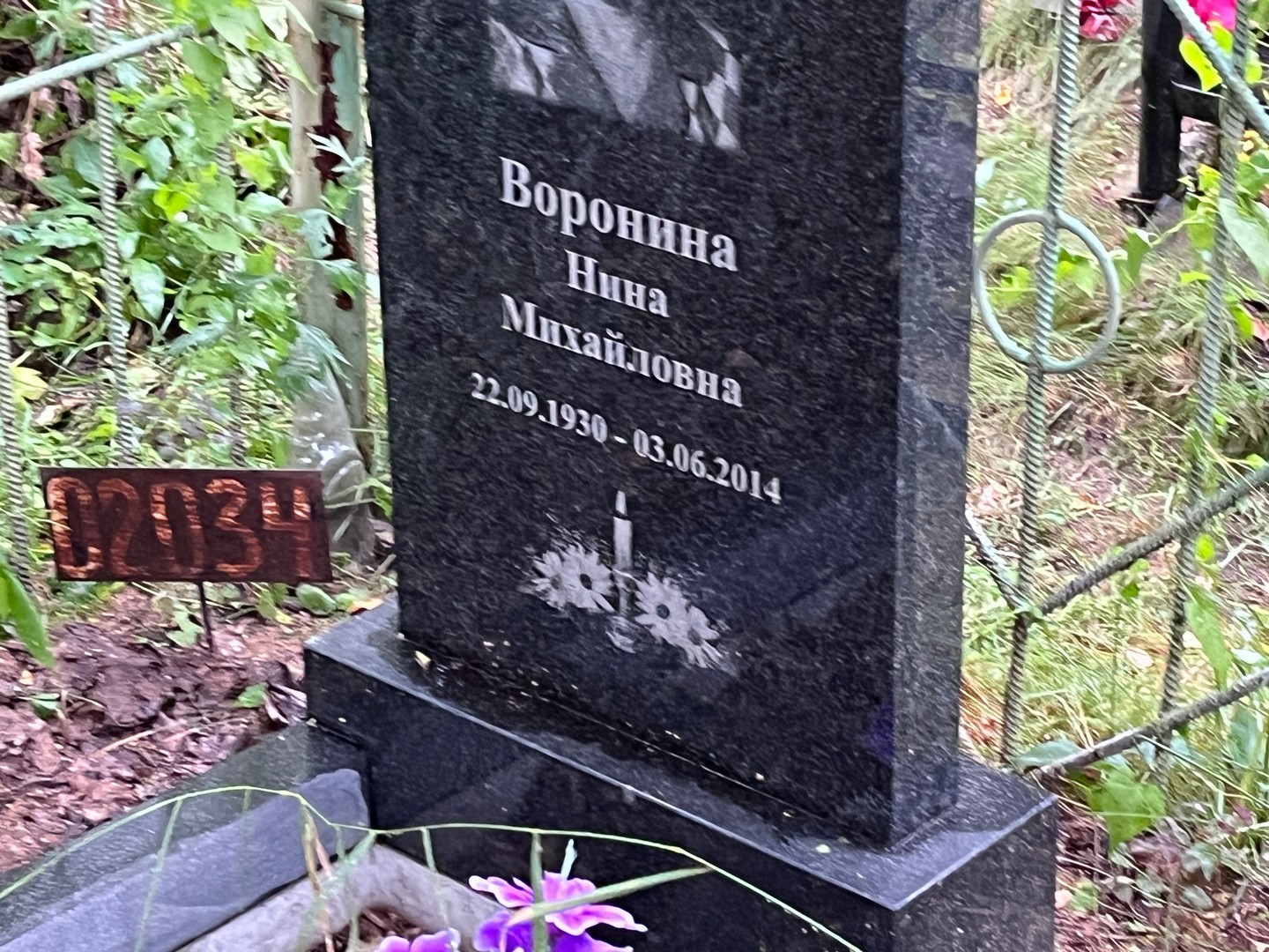 Воронина