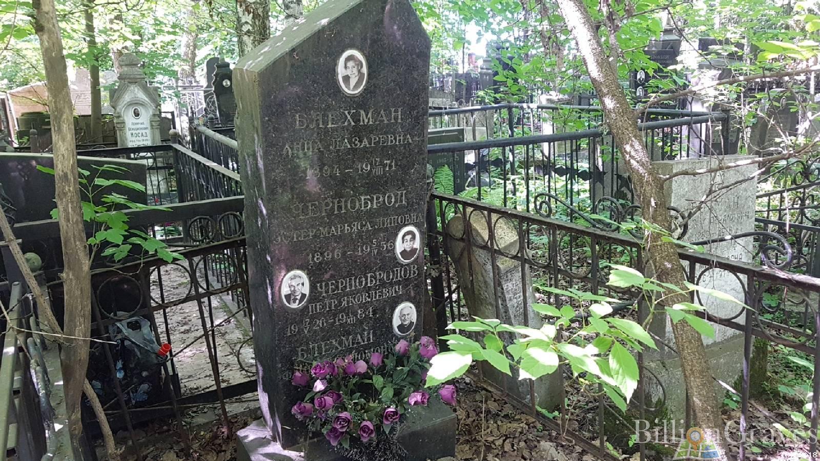 Блехман Анна Лазаревна
