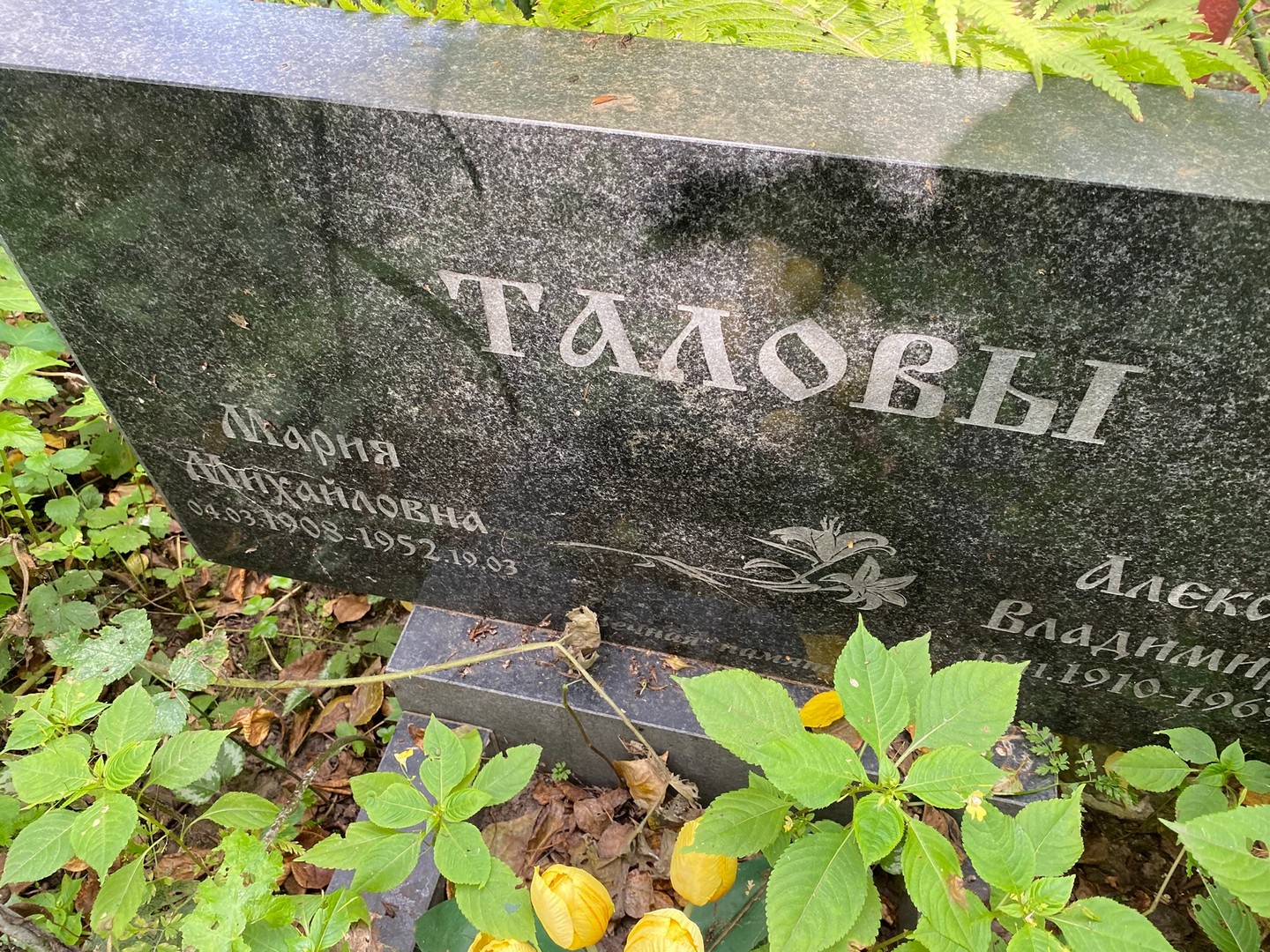 Талова