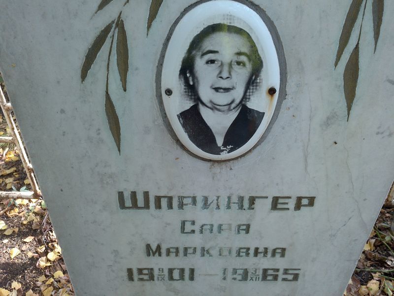 Сара Шпрингер Сарковна
